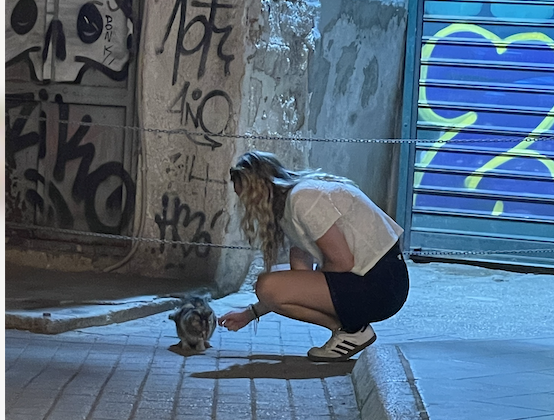 girl petting cat