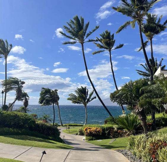 beach in maui, hawaii