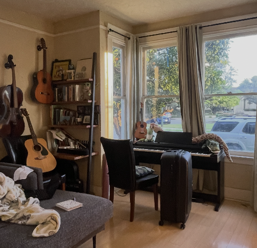 Living room with many instruments